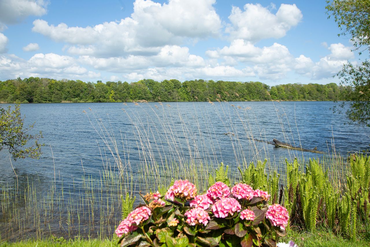 image 04